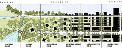 Evaluating physical urban features in several mental illnesses using electronic health record data